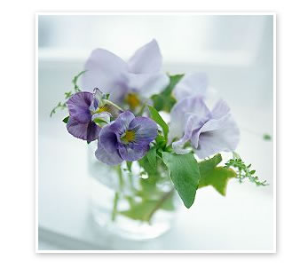 成人・小児ワクチン接種